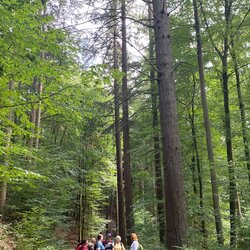 Odenwälder Weininsel Sept. 2026