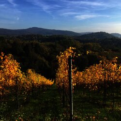 Herbstliche Wanderung im Odenwald.