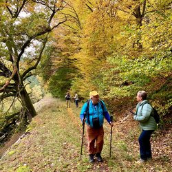 Hunsrück Herbstwanderung 2025