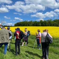 Traumwanderung-im-Vogelsberg2026-3