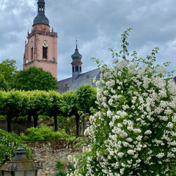 Wandern in und um Wiesbaden-Biebrich