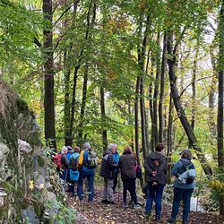 Hunsrück Herbstwanderung 2025