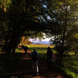 Herbstliche Wanderung im Odenwald.