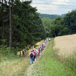 am Rande des Vogelsbergs rund um Homberg/Ohm