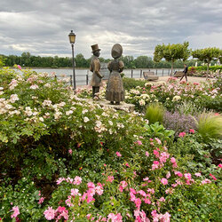 Wandern in und um Wiesbaden-Biebrich