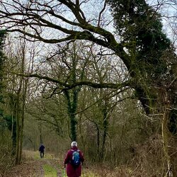 Kühkopf Januar 2026