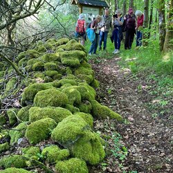 Traumwanderung-im-Vogelsberg2026-2