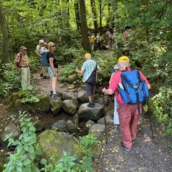 am Rande des Vogelsbergs rund um Homberg/Ohm