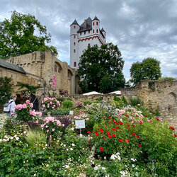 Wandern in und um Wiesbaden-Biebrich