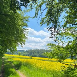 Traumwanderung-im-Vogelsberg2026-4
