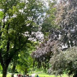Wandern in und um Wiesbaden-Biebrich