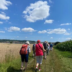 am Rande des Vogelsbergs rund um Homberg/Ohm