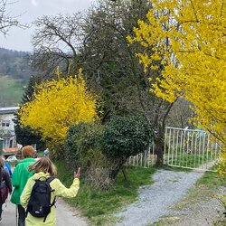 Wanderung Bergstraße 2026