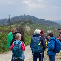 Wanderung Bergstraße 2026