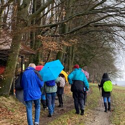 Regen-Wanderung im Modautal/Odenwald