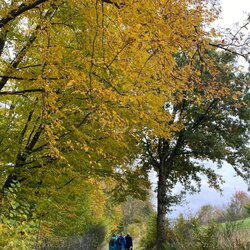 Hunsrück Herbstwanderung 2025