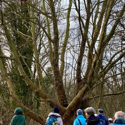 Kühkopf Januar 2026