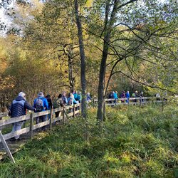 Hunsrück Herbstwanderung 2025