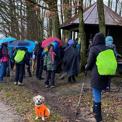 Regen-Wanderung im Modautal/Odenwald