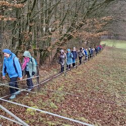 Regen-Wanderung im Modautal/Odenwald