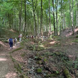 am Rande des Vogelsbergs rund um Homberg/Ohm